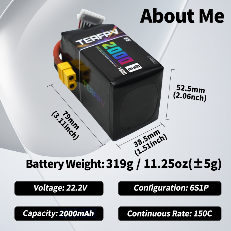 TERFPV 6S 22.2V 2000mAh 150C/3 - Drone Battery Plate recensione e prezzo